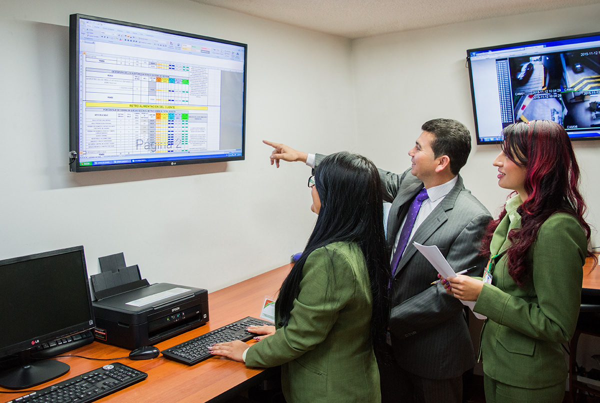 Asesor&iacute;a y consultor&iacute;a